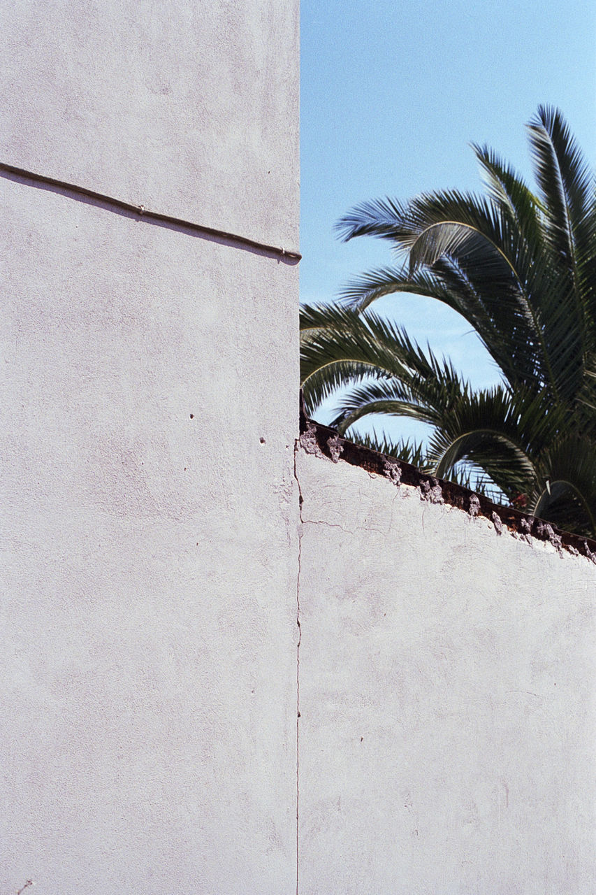 Exterior of building by palm tree against sky