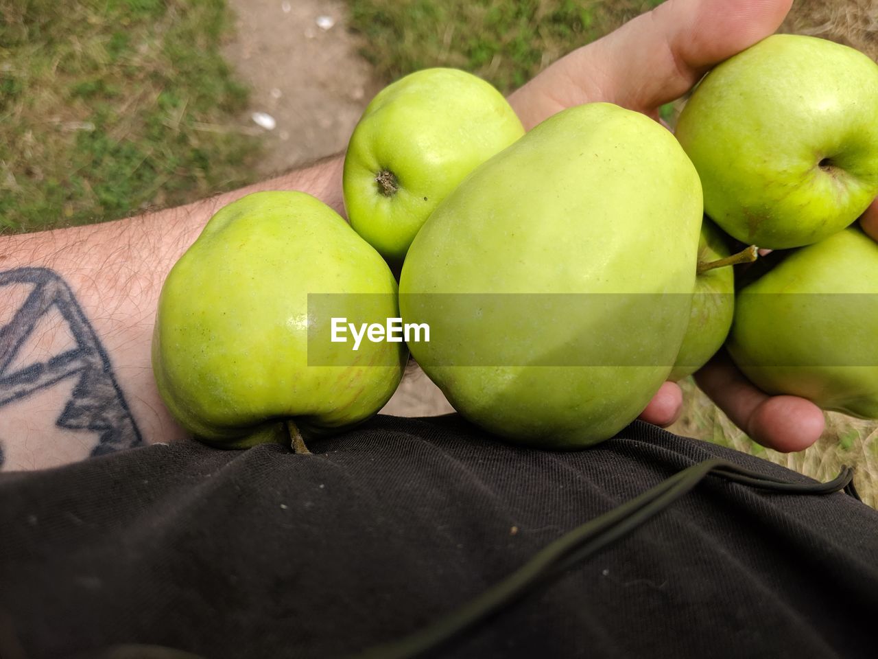 HIGH ANGLE VIEW OF APPLES IN GREEN APPLE