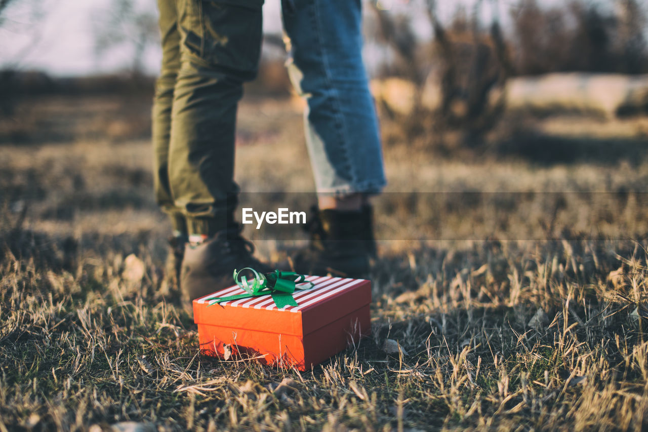 Gift box on grassy land with couple standing in background