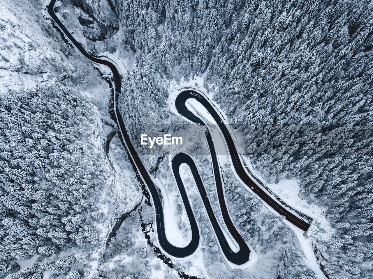 Aerial view of road and forest on snowy landscape
