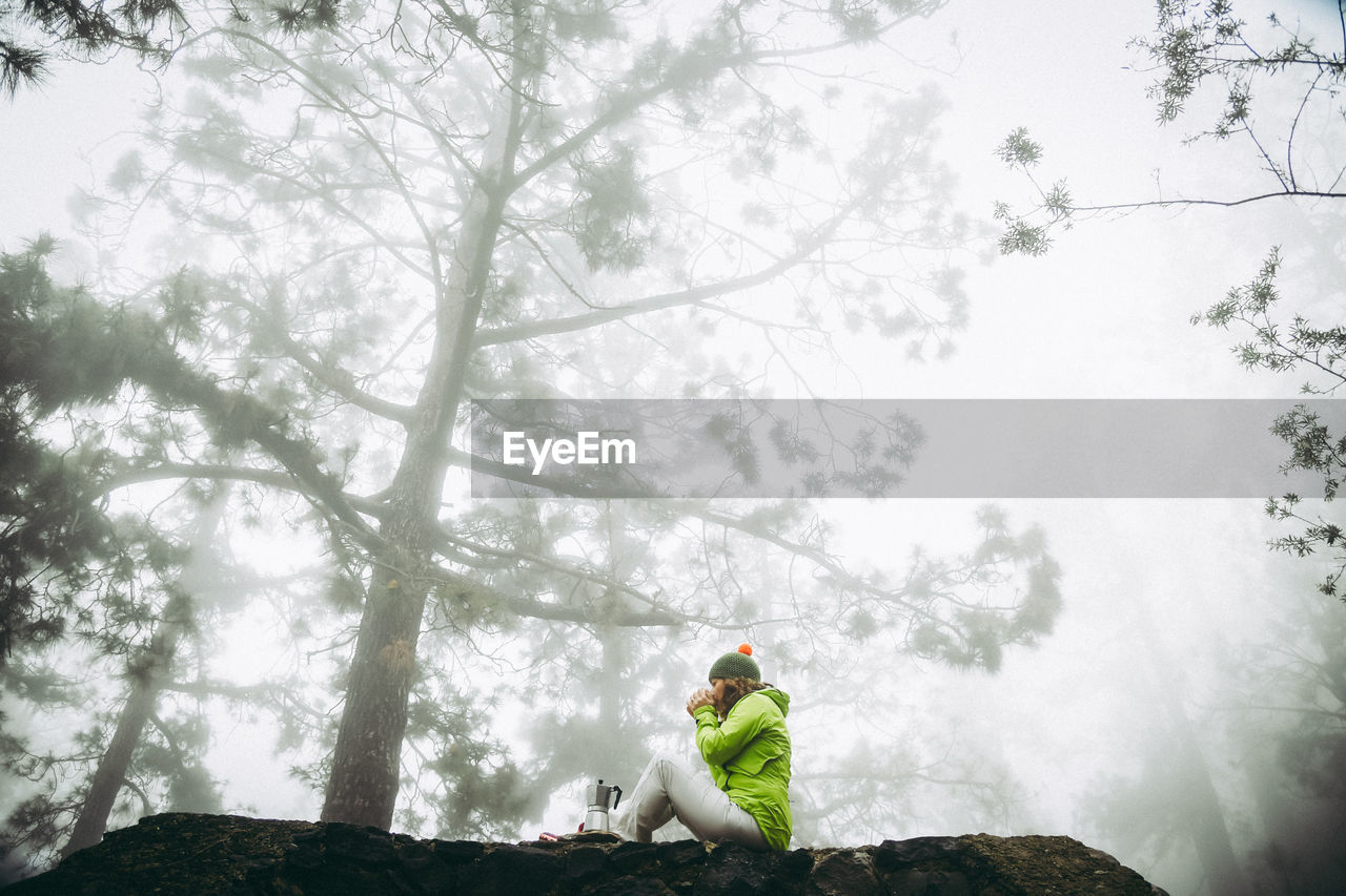 Woman sitting on retaining wall at forest during foggy weather
