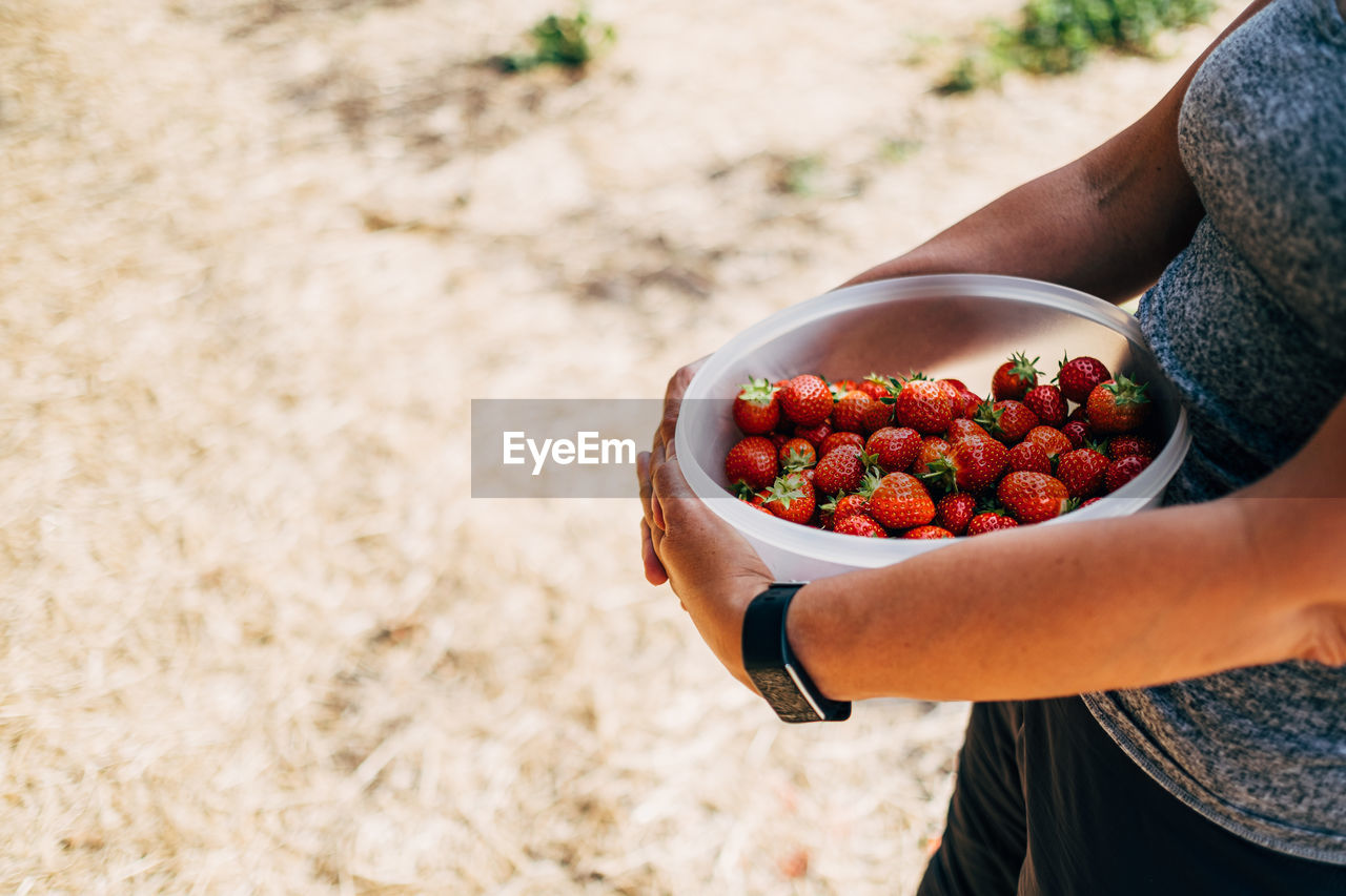 Midsection of woman holding strawberries on field