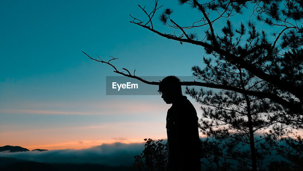 Silhouette man standing by tree against sky during sunset