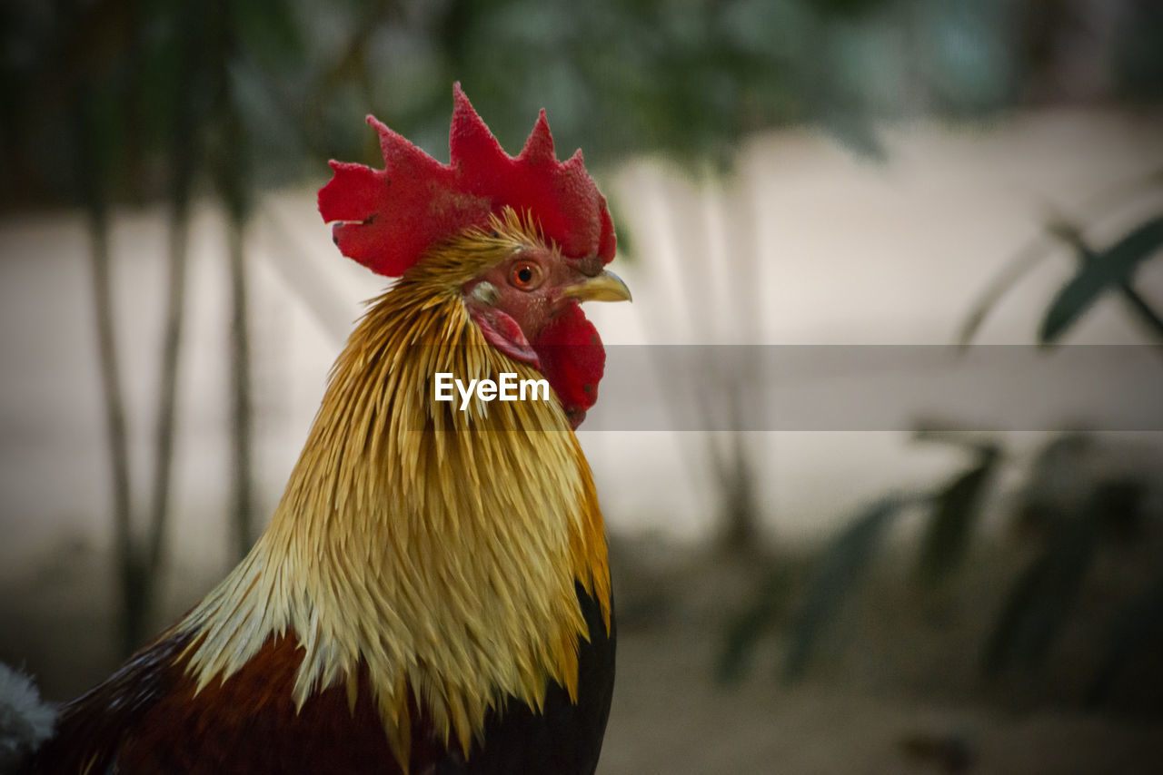 My First Pic On Eyeem Animal Animal Head Animal Eyeem