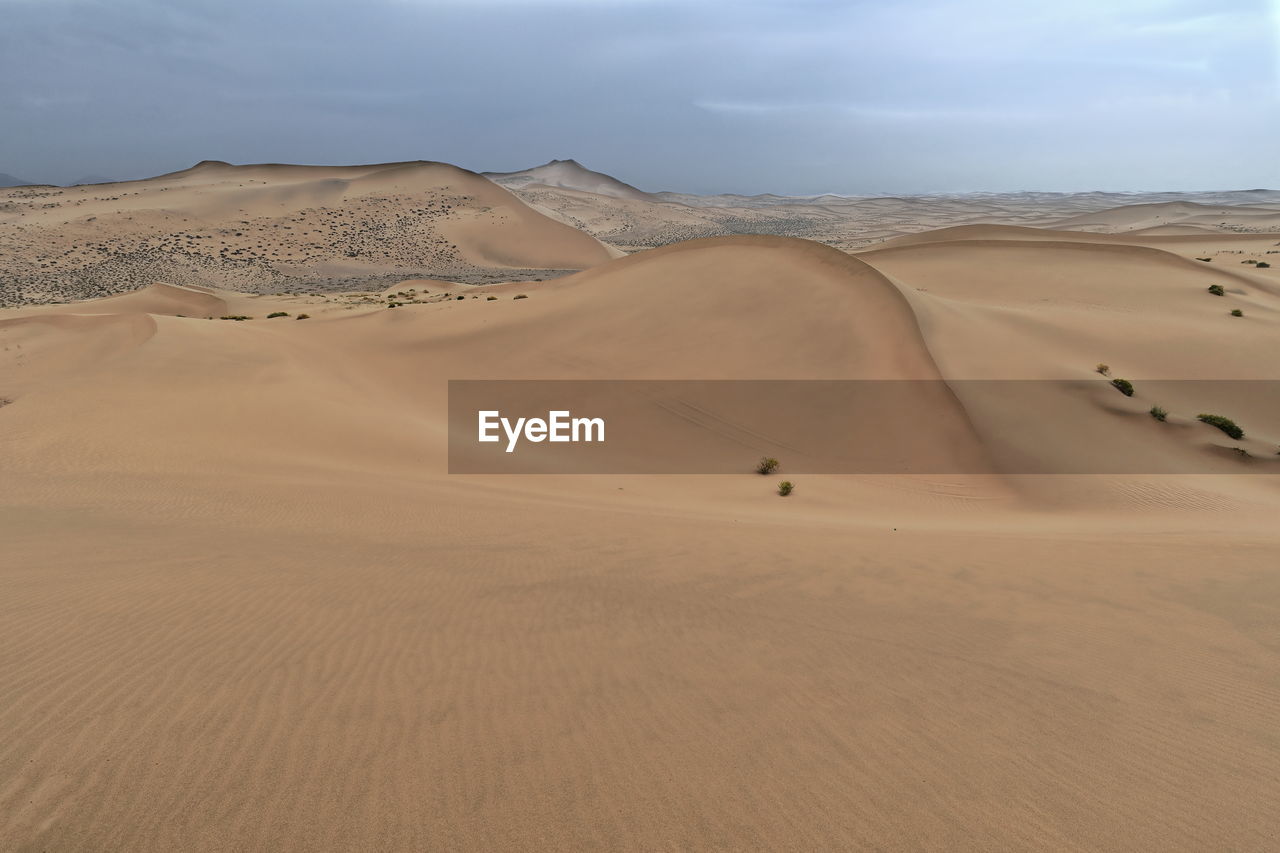 1031 moving and stationary sand dunes-badain jaran desert -tire tracks on the sand. nei mongol-china