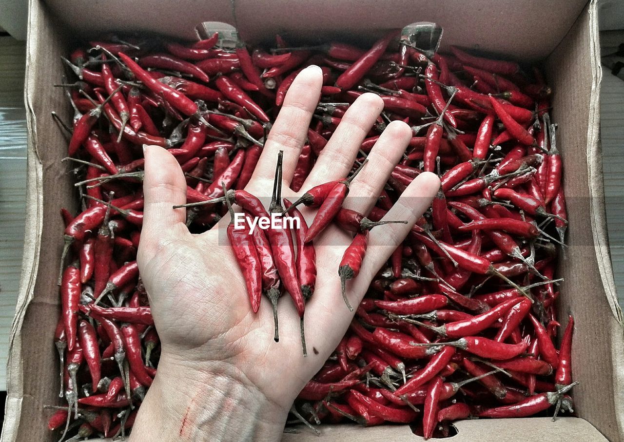 Cropped hand holding red chili peppers over cardboard box