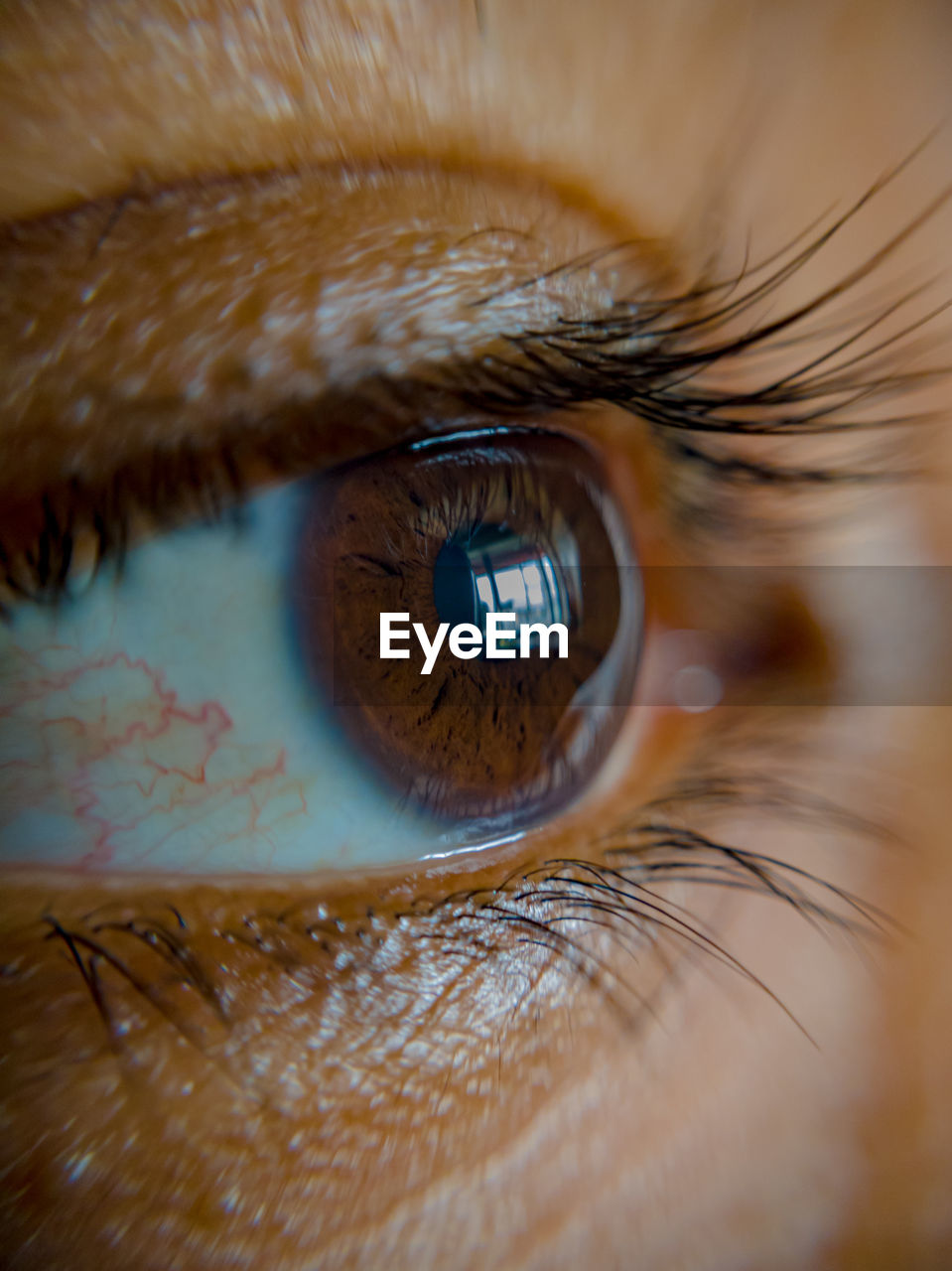 Brown eyes