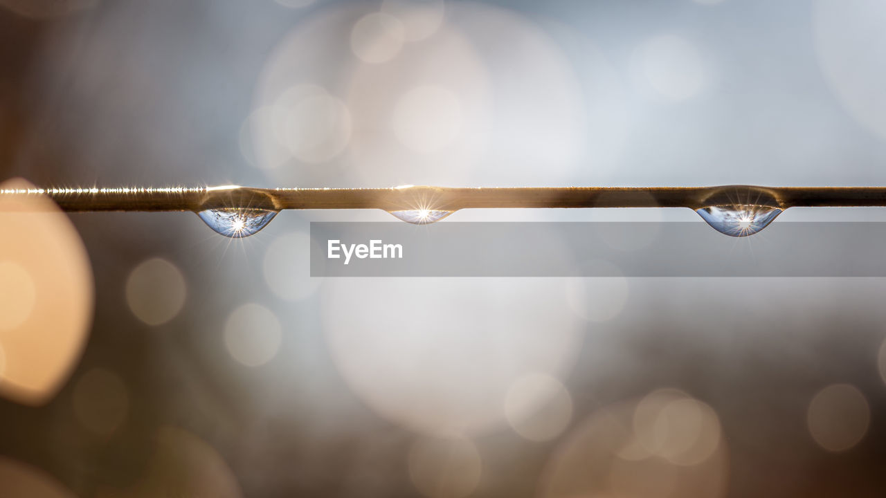 Close-up of water drops on illuminated lights