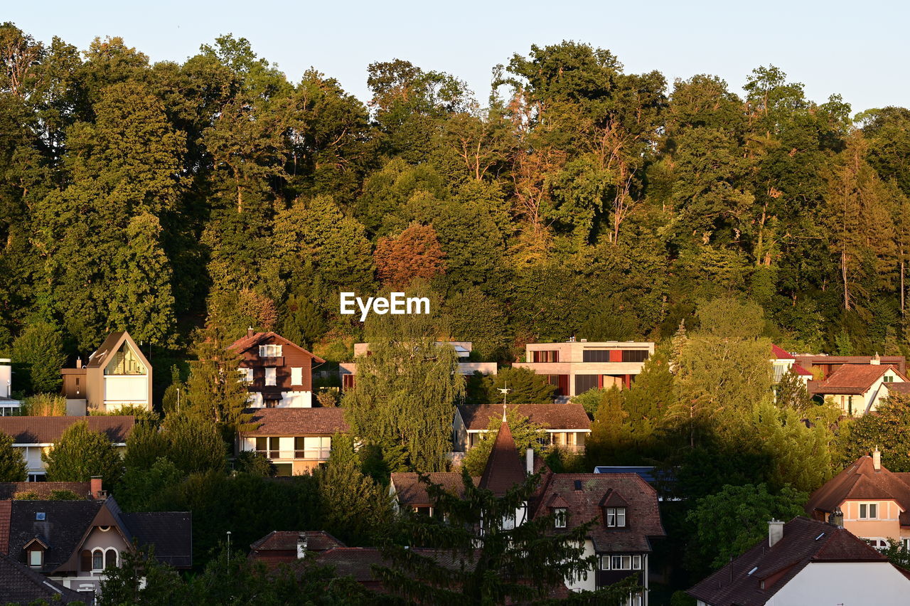 high angle view of trees and houses against sky