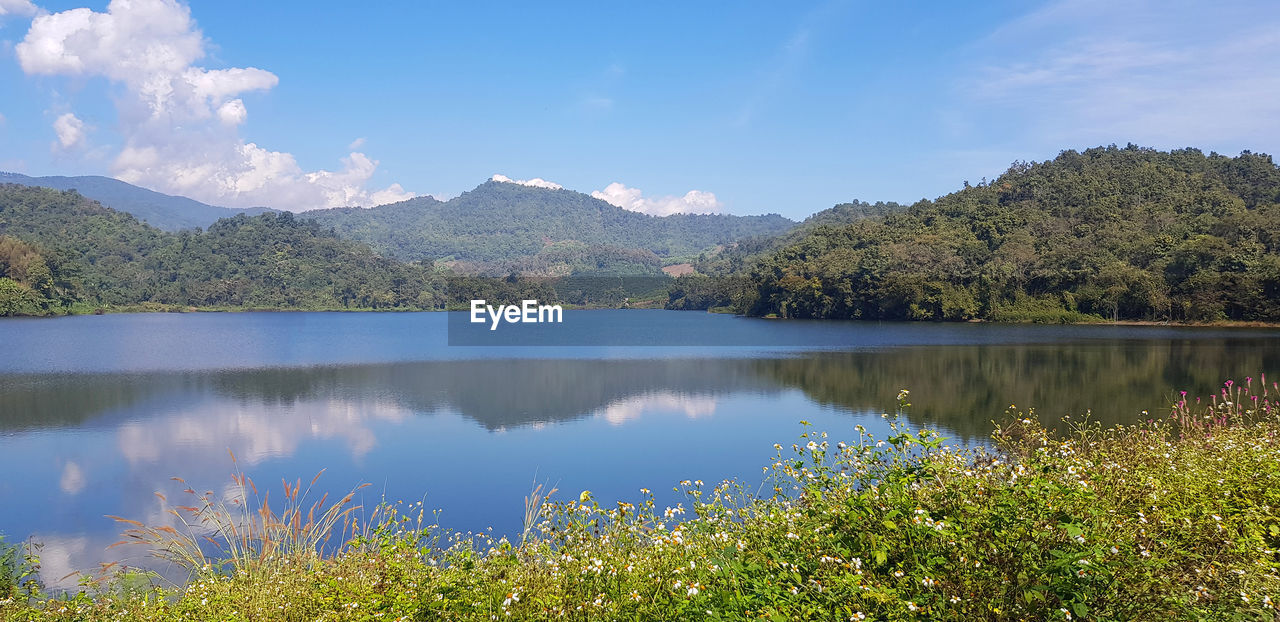 water, mountain, lake, scenics - nature, plant, sky, beauty in nature, body of water, reflection, environment, wilderness, nature, landscape, mountain range, tree, tranquility, reservoir, tranquil scene, land, forest, no people, meadow, travel destinations, travel, blue, cloud, non-urban scene, outdoors, pine tree, tourism, day, flower, pinaceae, idyllic, coniferous tree, summer, flowering plant, pine woodland, grass, autumn, highland, trip, vacation, holiday, beach, activity, springtime