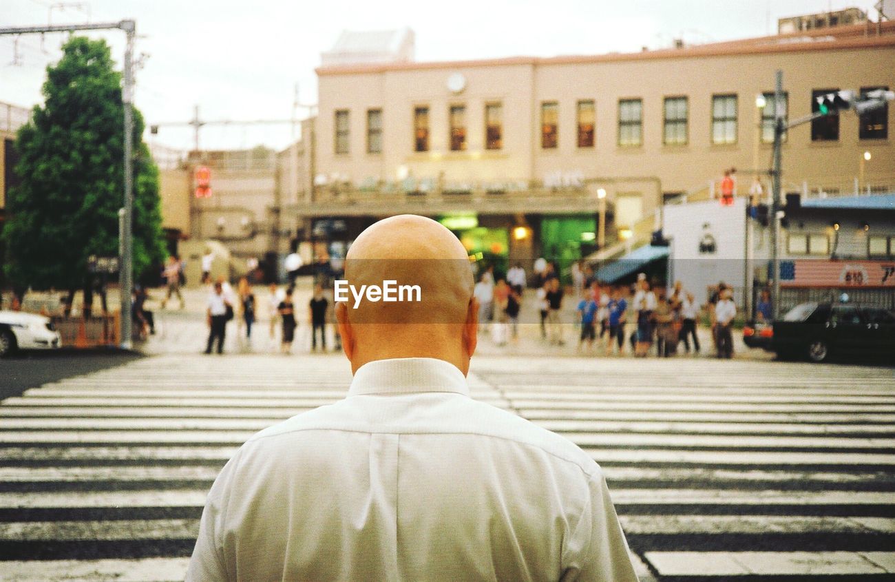 Rear View Of Bald Man Zebra Crossing On Road Id 74182075