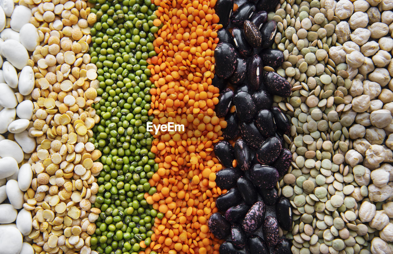Food natural background made with different legumes