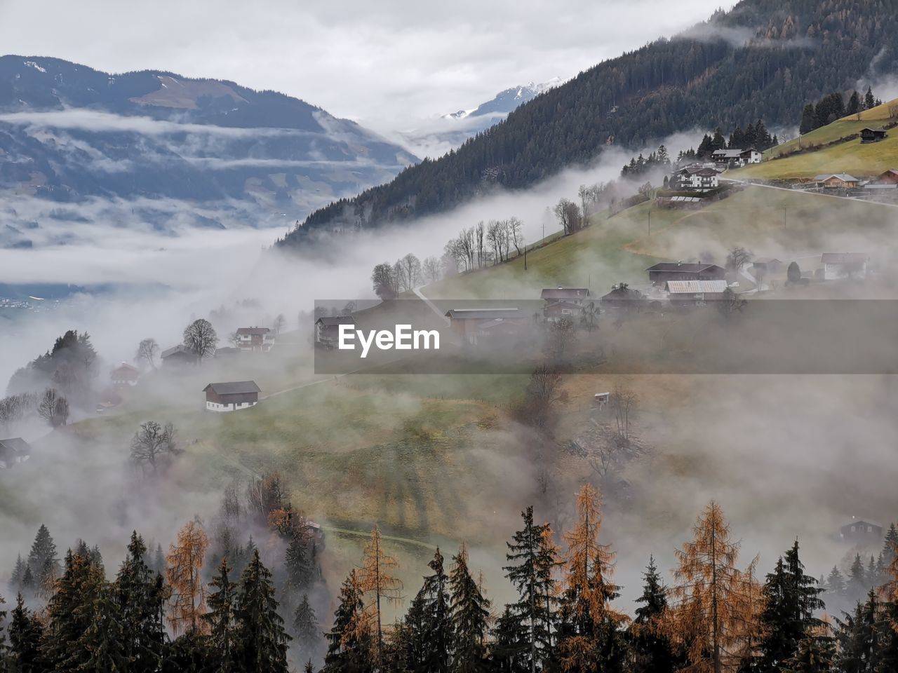 Panoramic view of trees and mountains against sky