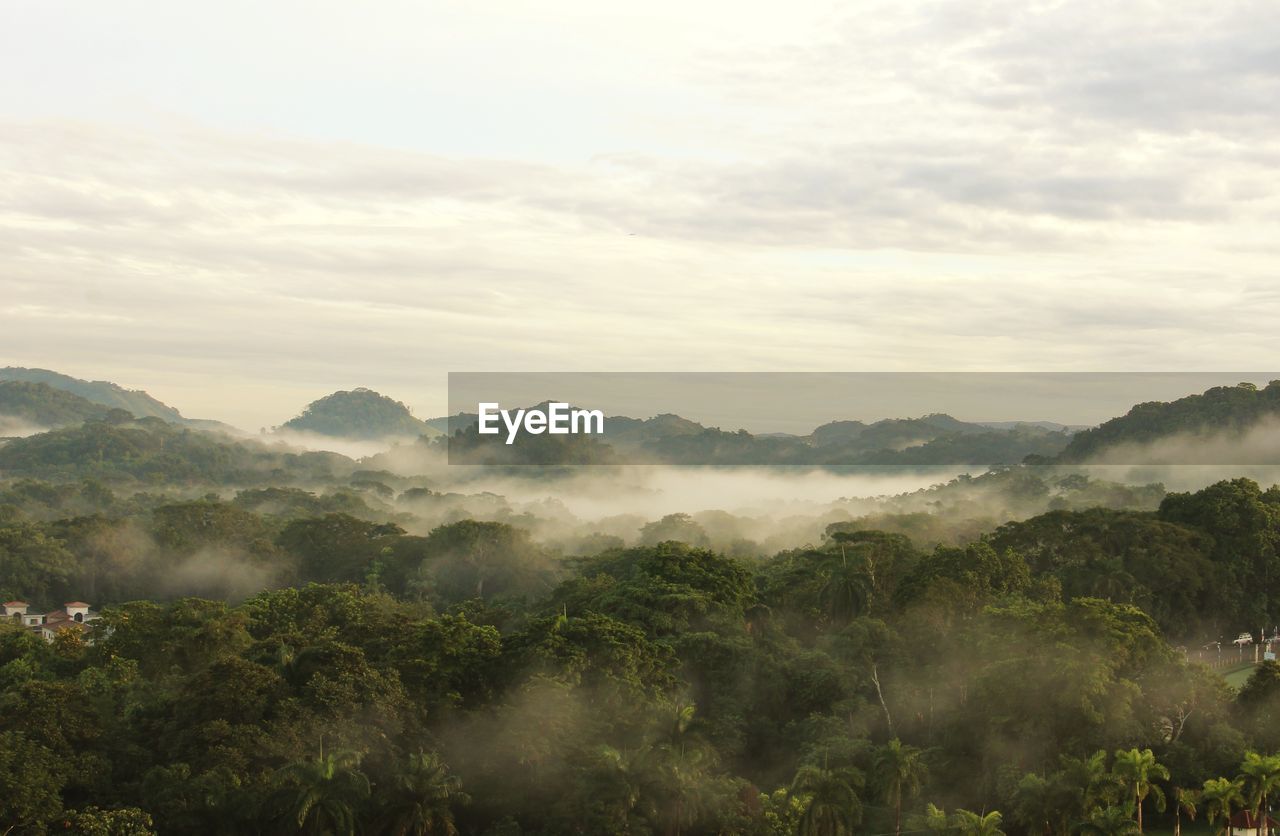 Mountain landscape