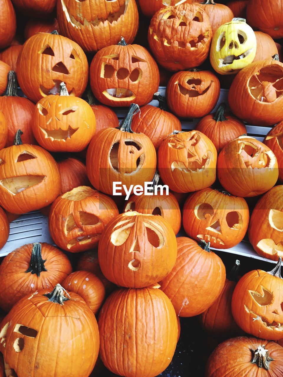 High angle view of halloween pumpkins