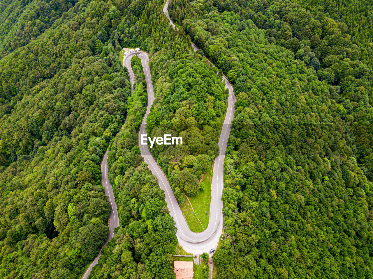 high angle view of road amidst trees