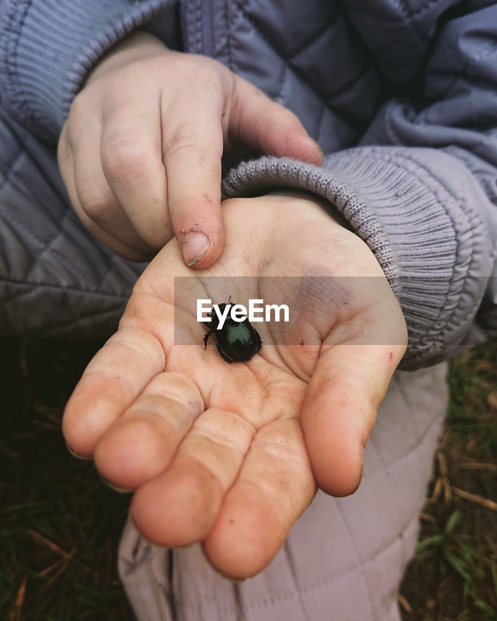 Kid holding beetle in hand. latvian nature