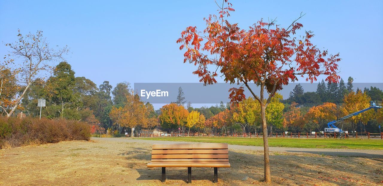 PARK BENCH BY TREES ON FIELD AGAINST CLEAR SKY