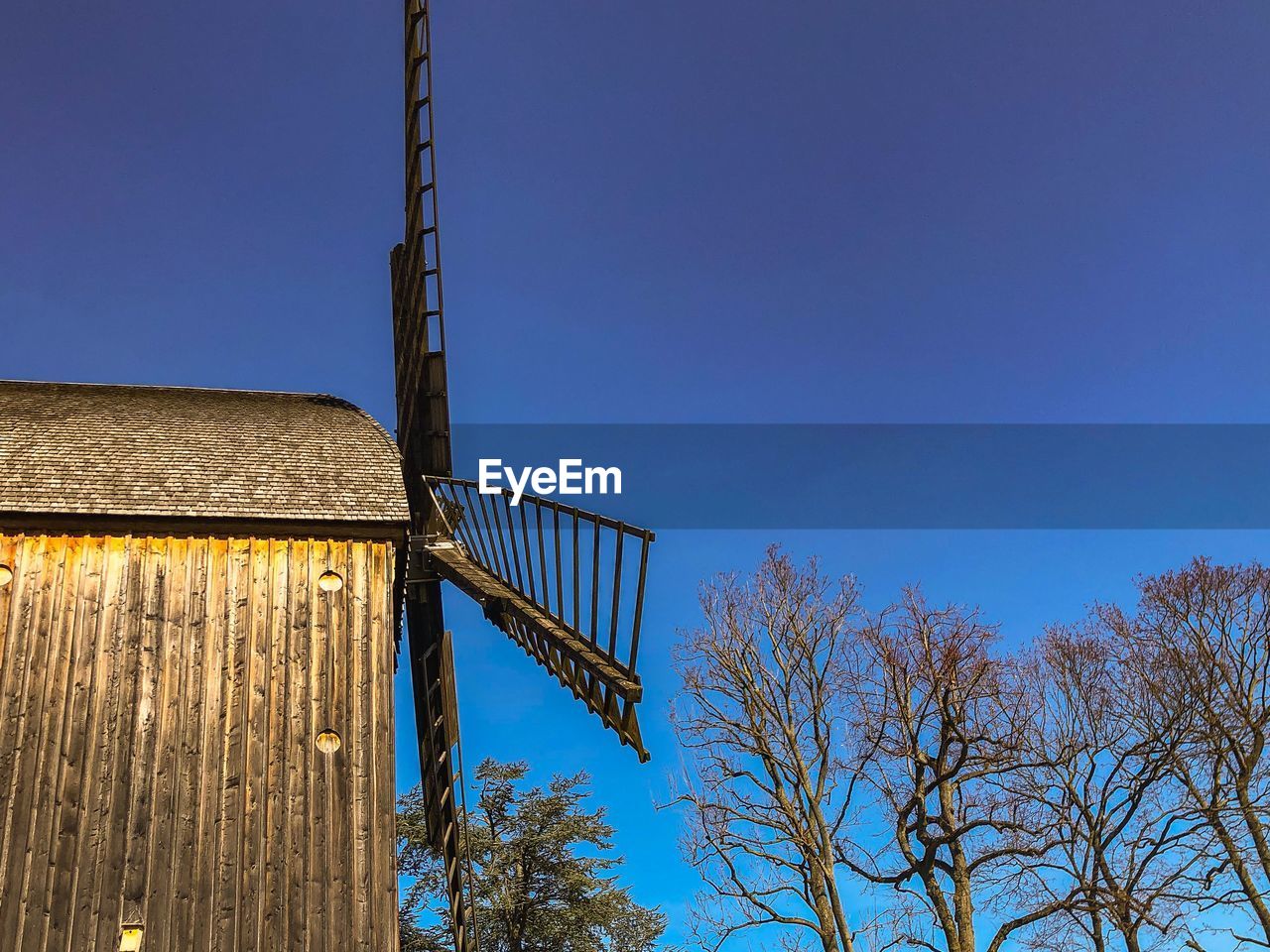 LOW ANGLE VIEW OF TREE AND BUILDING AGAINST SKY