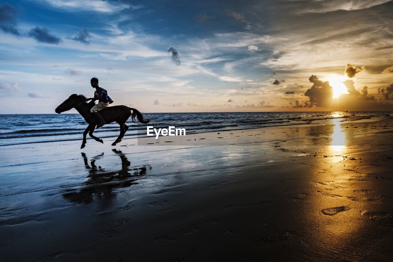 MAN RIDING HORSE ON BEACH
