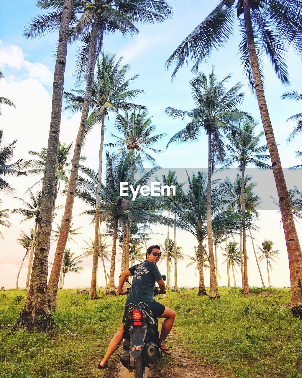 Man riding motorcycle on palm tree against sky