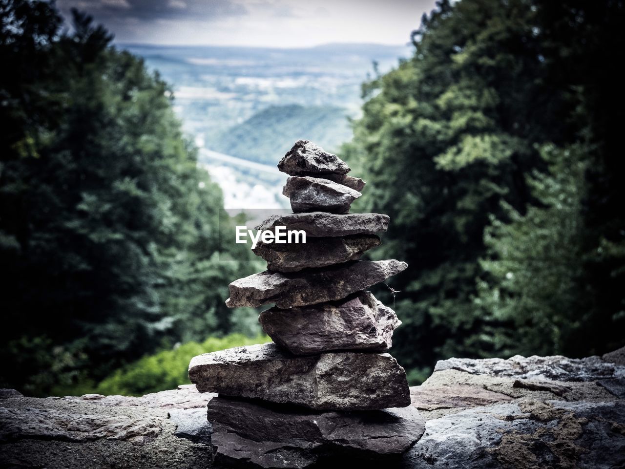 Stack of rock in forest
