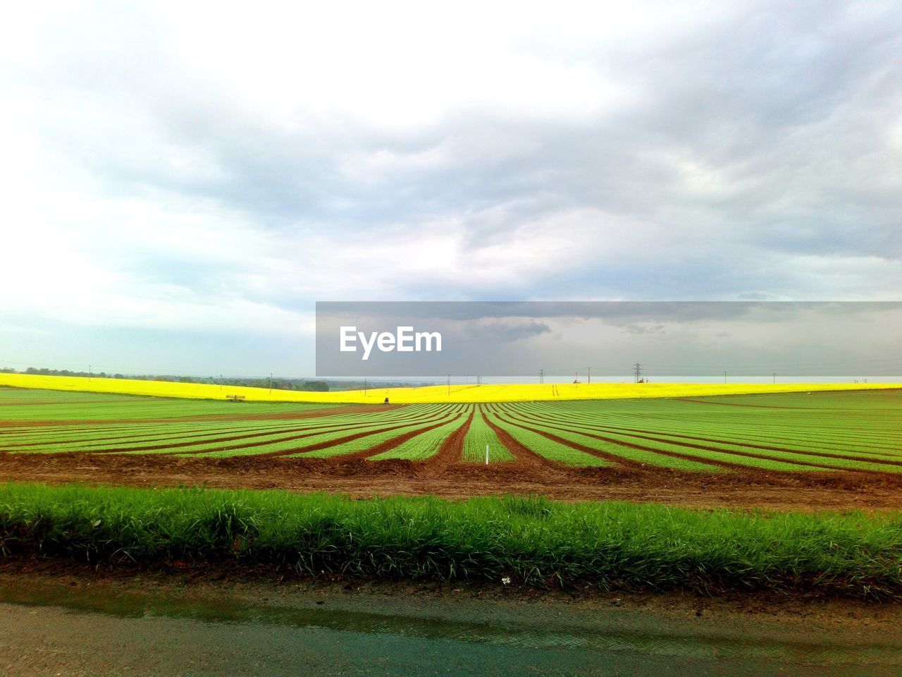 AGRICULTURAL FIELD AGAINST SKY