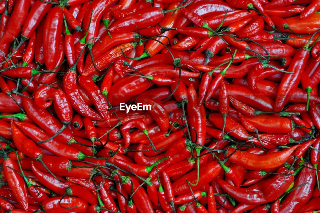 FULL FRAME SHOT OF RED CHILI PEPPERS IN MARKET