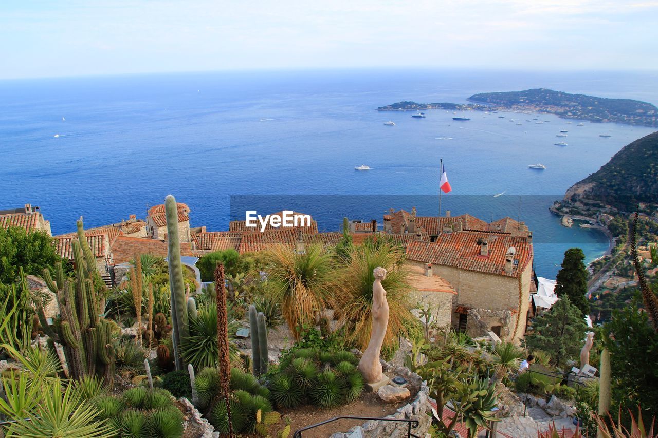 HIGH ANGLE VIEW OF TREES ON SEA