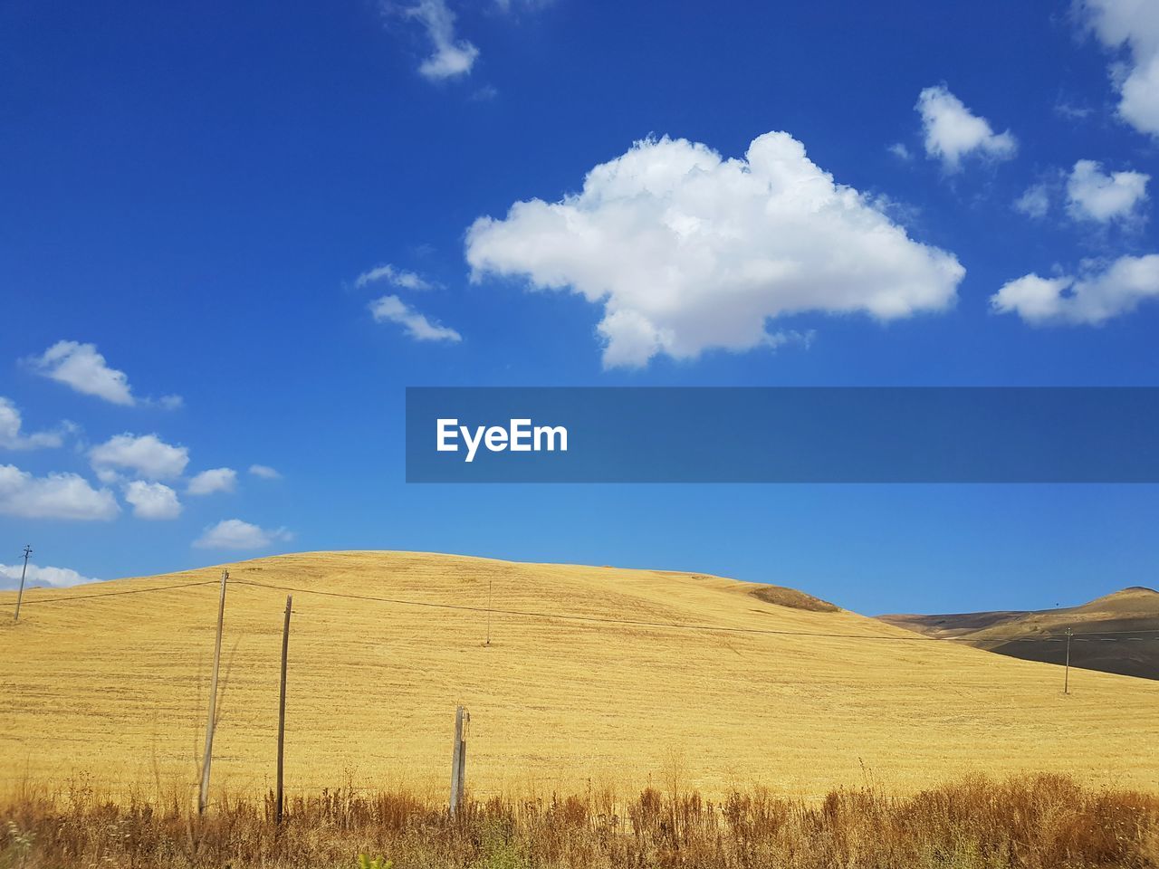Scenic view of field against blue sky