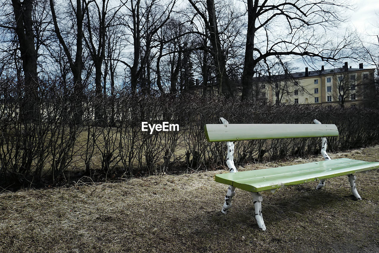 Empty park bench against bare trees in grass