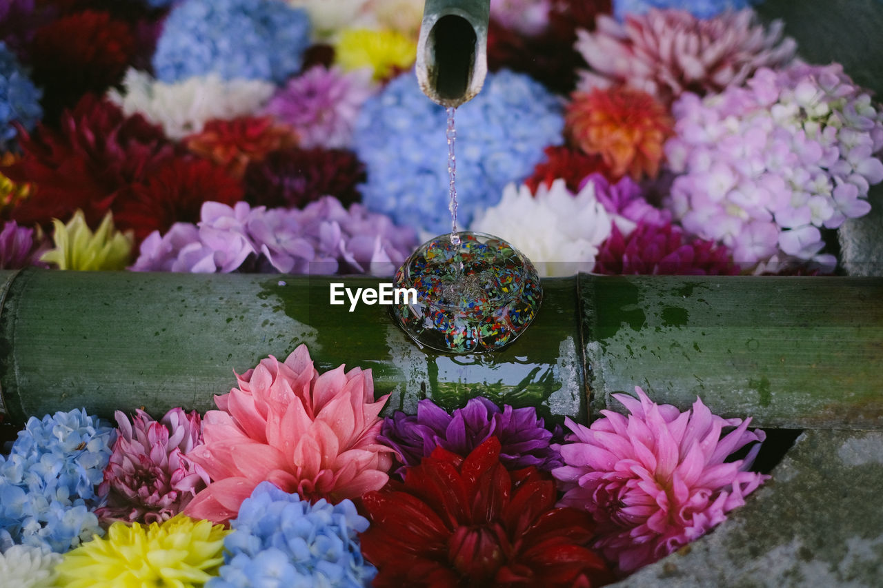 flower, flowering plant, plant, beauty in nature, freshness, multi colored, fragility, floristry, nature, bouquet, flower head, petal, close-up, inflorescence, no people, pink, floral design, flower arrangement, chrysanths, variation, purple, day, outdoors, water