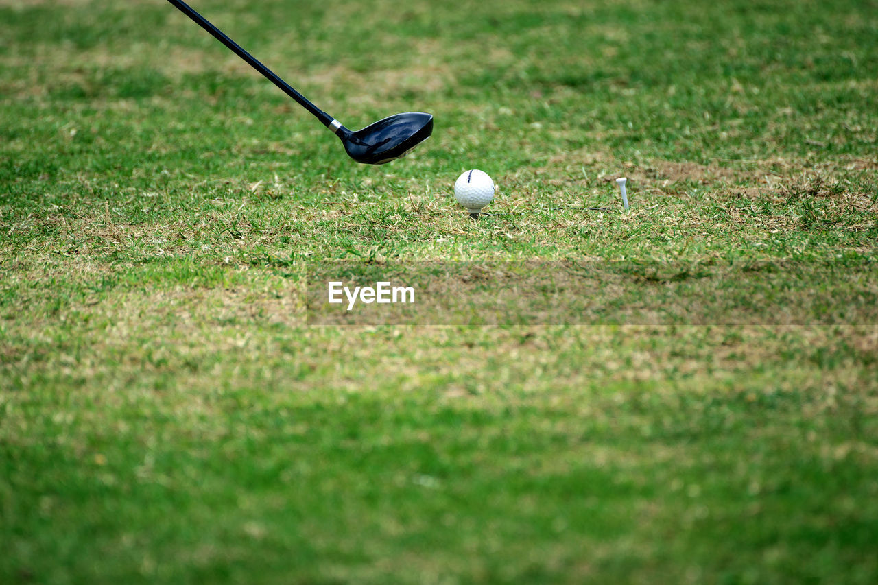 Golf equipment,golf ball with tee on course.