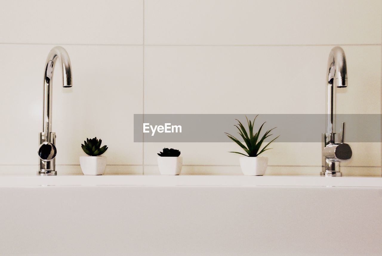 Potted plants on sink in bathroom