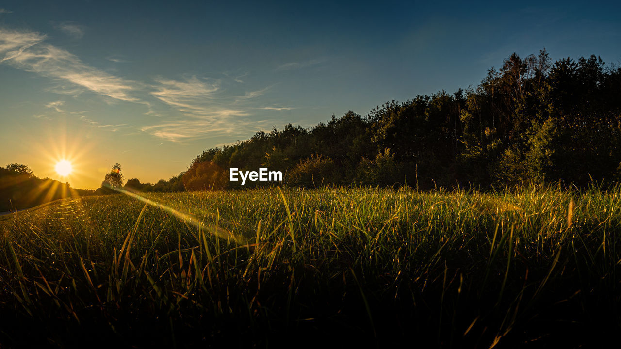 Scenic view of field against sky at sunset