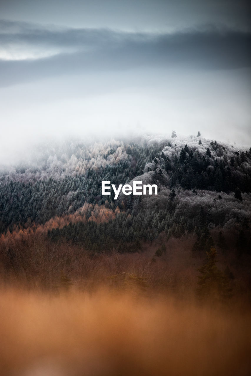 Scenic view of mountain