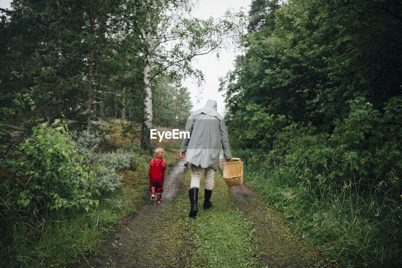 Rear view of father and son walking in forest