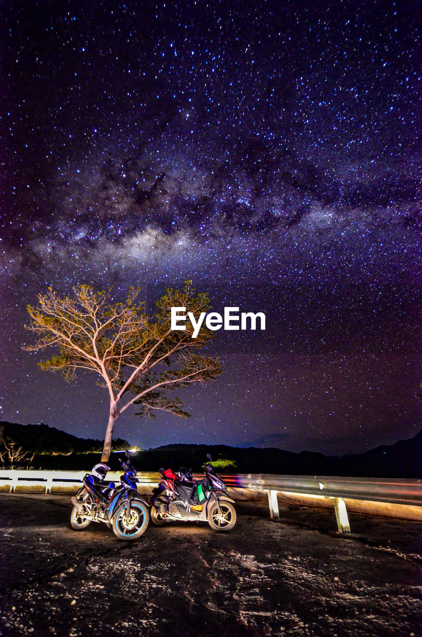 BICYCLES AGAINST TREES ON FIELD