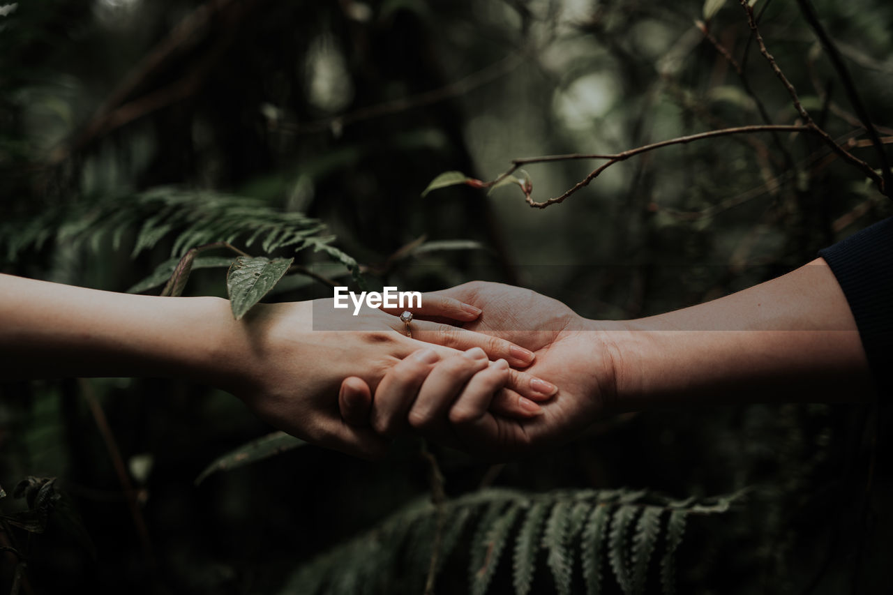 Cropped image of couple holding hands against plants