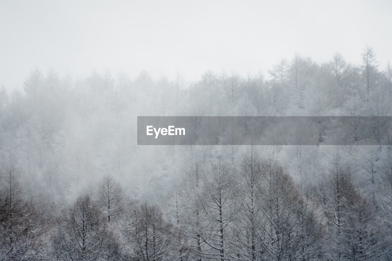 SCENIC VIEW OF SNOW COVERED LAND DURING WINTER