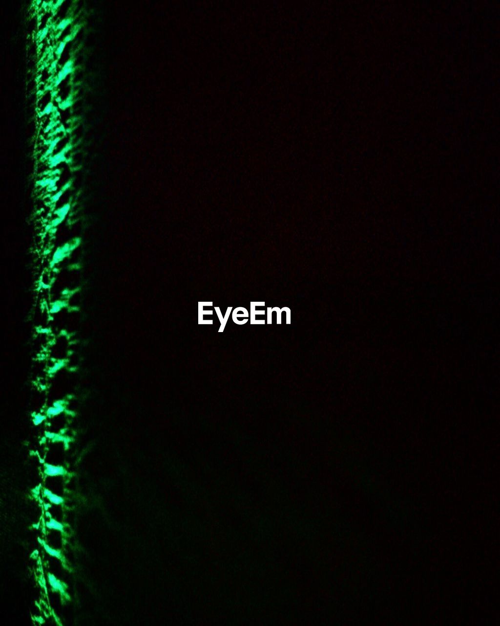 Abstract Light Visual Art Green Light Green Color Eyeem