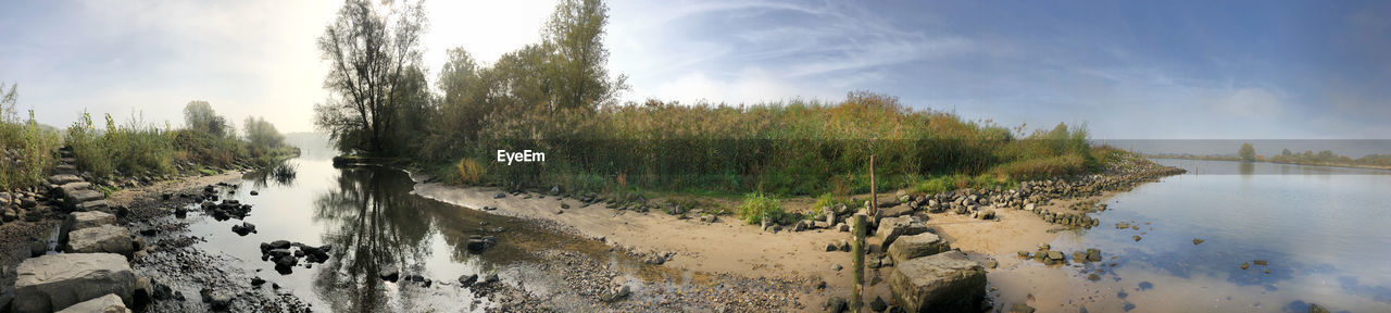 PANORAMIC SHOT OF PLANTS AGAINST SKY