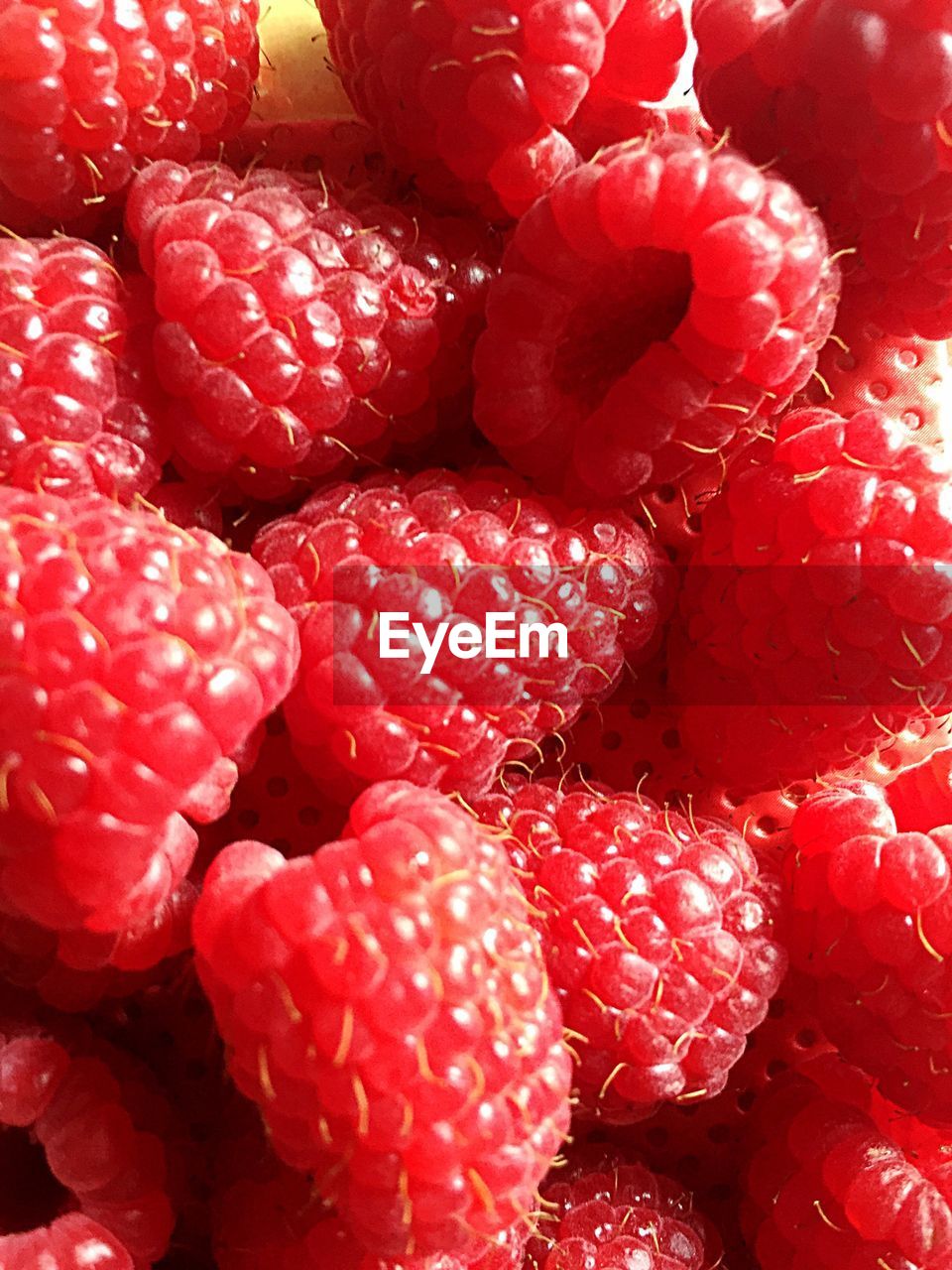 Detail shot of raspberries