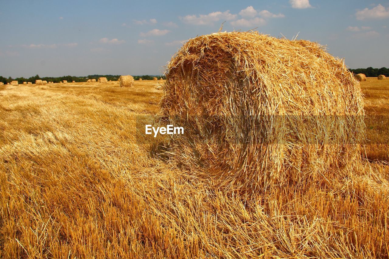 Hay bales on field against sky