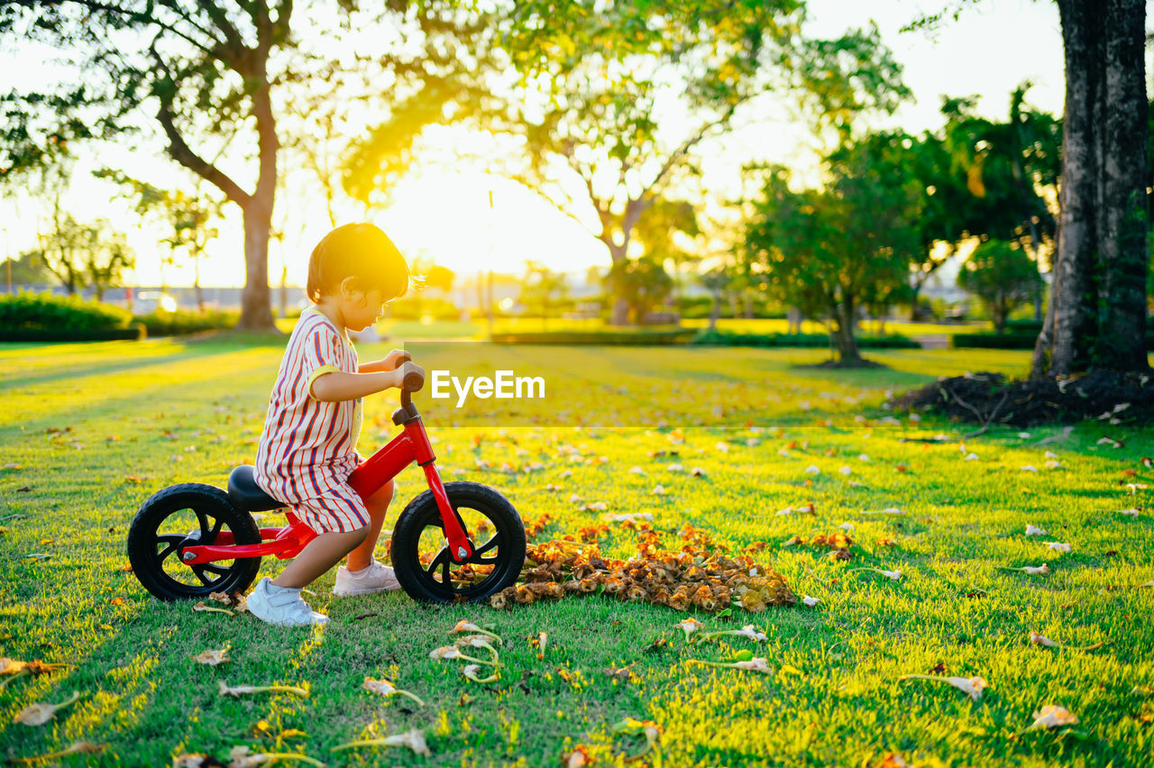 yellow, plant, childhood, child, tree, nature, grass, one person, bicycle, transportation, autumn, park, flower, park - man made space, full length, sunlight, lawn, sports, meadow, leisure activity, mode of transportation, cycling, lifestyles, outdoors, toddler, day, activity, baby, men, field, riding, happiness, vehicle, green, casual clothing, land, summer, emotion, wheel, leaf, land vehicle, cute, helmet, fun, sky, sitting, person, motion, morning, enjoyment