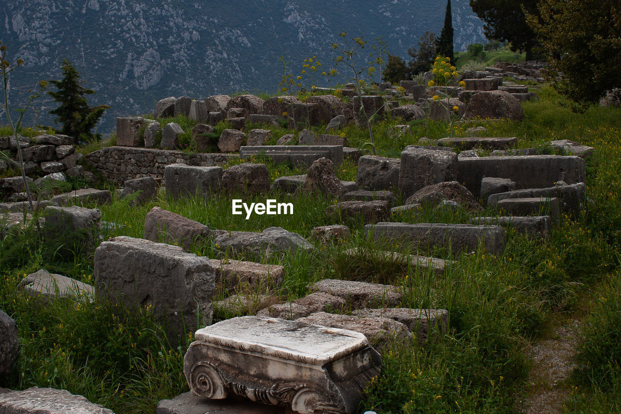 Architecture Nature Old Tree Ruined Day Stone On Eyeem