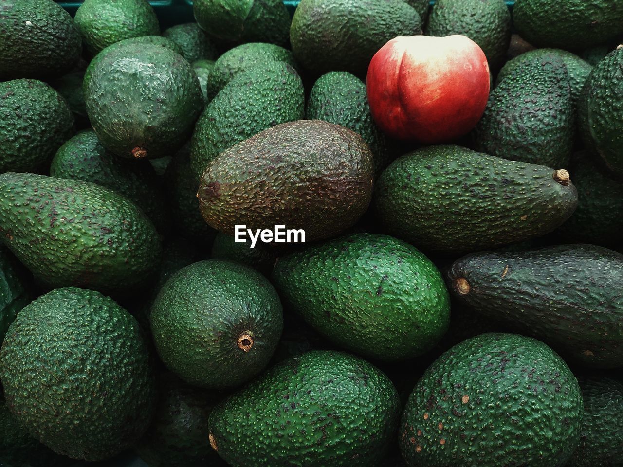 Full frame shot of avocado