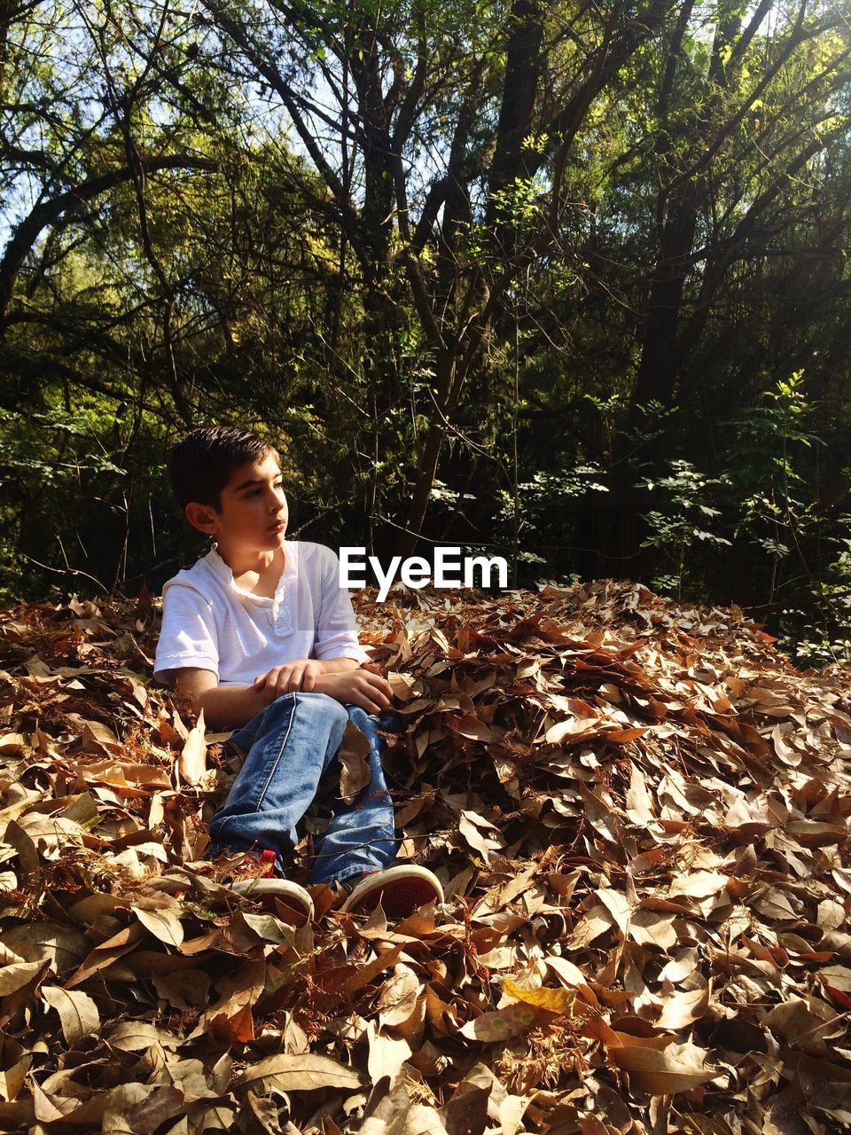 Boy sitting on dry leaves