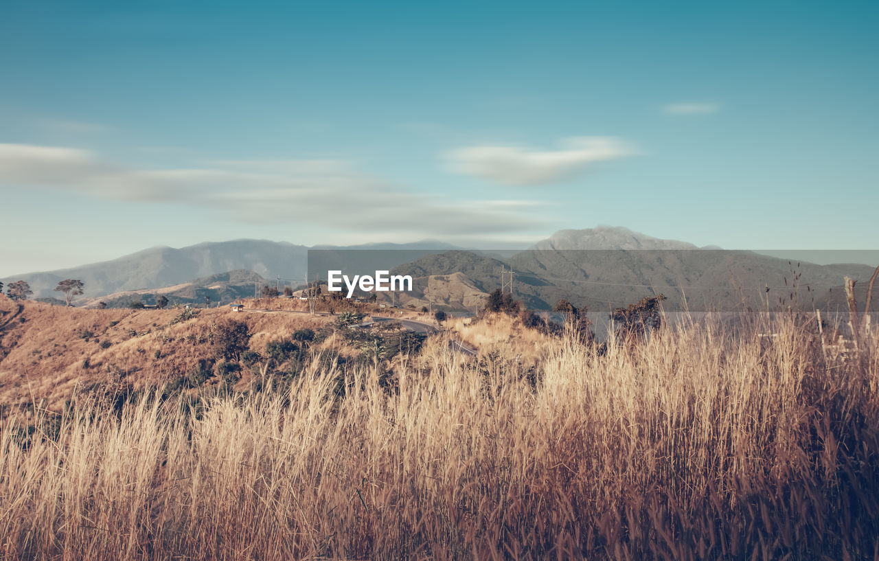 Panoramic view of landscape against sky
