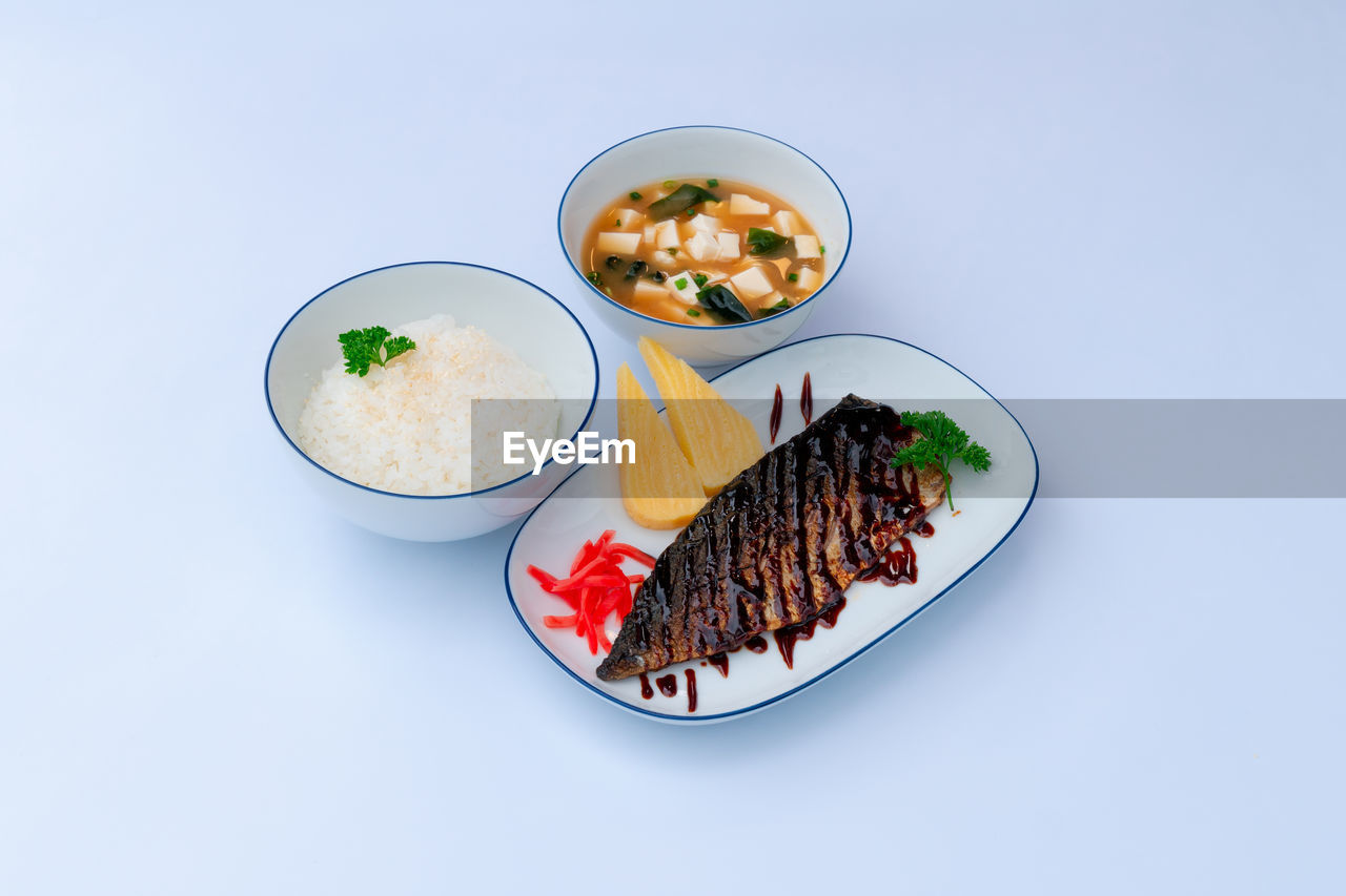 directly above shot of food served in plate on white background